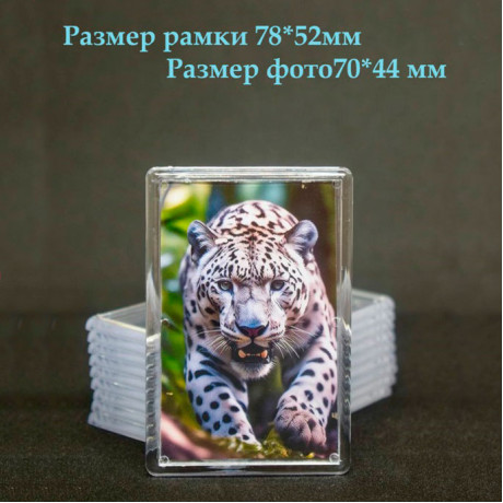 Акриловый магнит 77*52 Акриловый магнит 77*52
